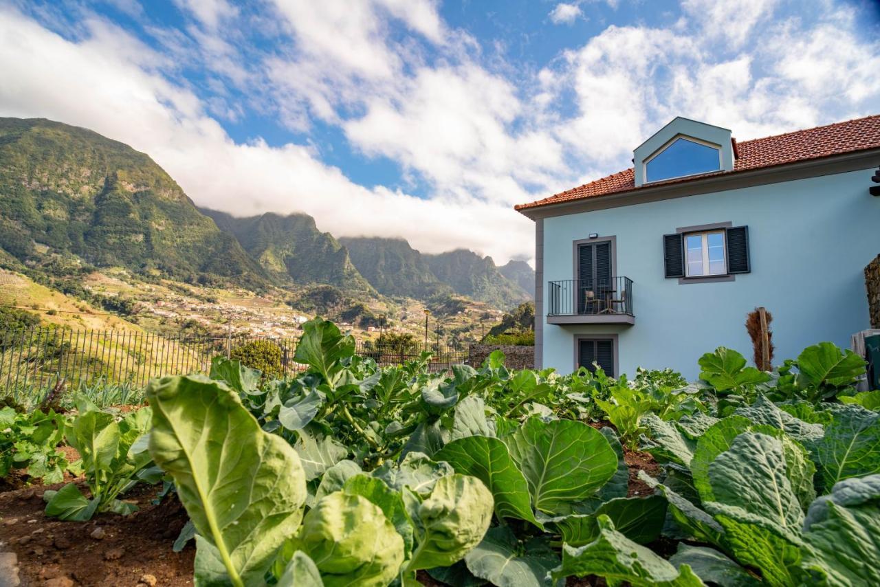 Вилла Quinta Vale Vitis Сан-Висенти Экстерьер фото